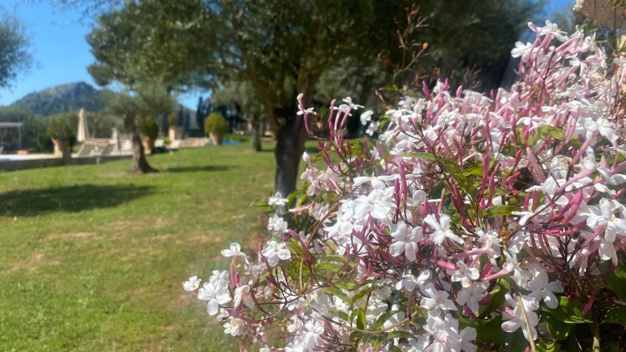Agroturisme Son Cardaix Artá Buitenkant foto